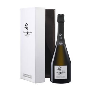 Pierre Mignon Clos de Graviers Vintage (2011) - 75cl